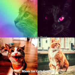 Bubbly (Sleeping Cats)