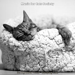 Ambience (Cute Kittens)