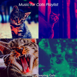 Paradise Like (Cute Kittens)
