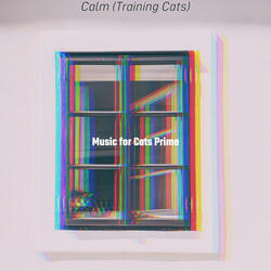 Relaxed (Training Cats)