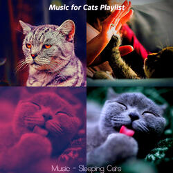 Simplistic (Sleeping Cats)