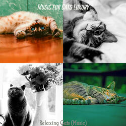Nurturing (Relaxing Cats)