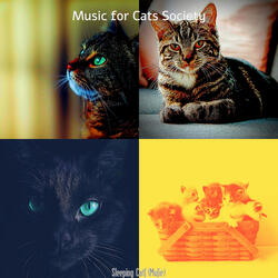 Entertaining (Kittens)