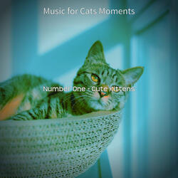 Feelings (Sleeping Cats)