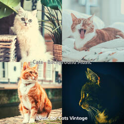 Simple (Relaxing Cats)
