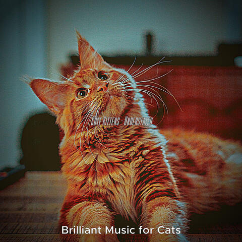 Cute Kittens - Understated