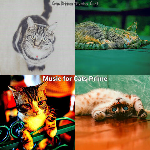 Cute Kittens (Number One)