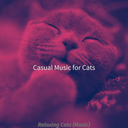 Beautiful (Training Cats)