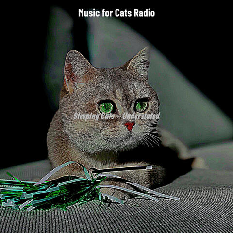 Sleeping Cats - Understated