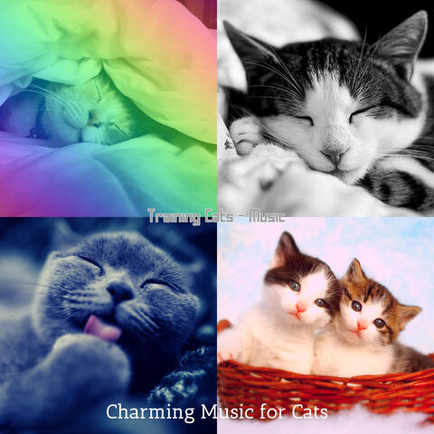 Training Cats - Music