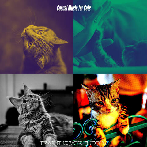 Training Cats - Cuddly