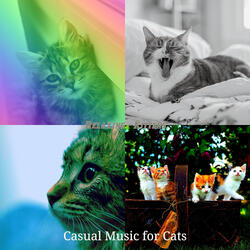 Cheerful (Kittens)