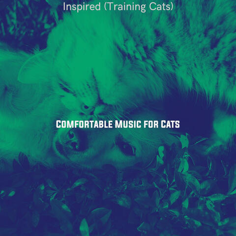 Inspired (Training Cats)