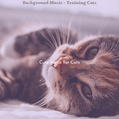 Background Music - Training Cats