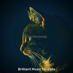 Laid-back (Training Cats)