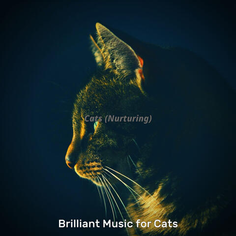 Cats (Nurturing)