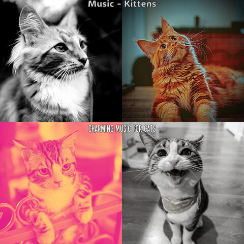 Music - Kittens