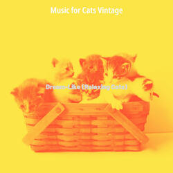 Excellent (Relaxing Cats)