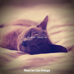 Inspired (Relaxing Cats)