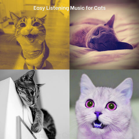 Training Cats (Relaxed)