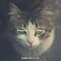 Simplistic (Kittens)