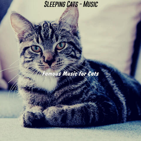 Sleeping Cats - Music