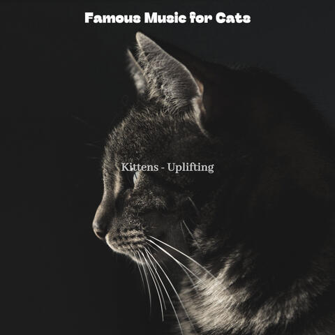 Kittens - Uplifting
