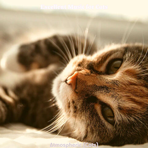 Atmospheric (Cats)