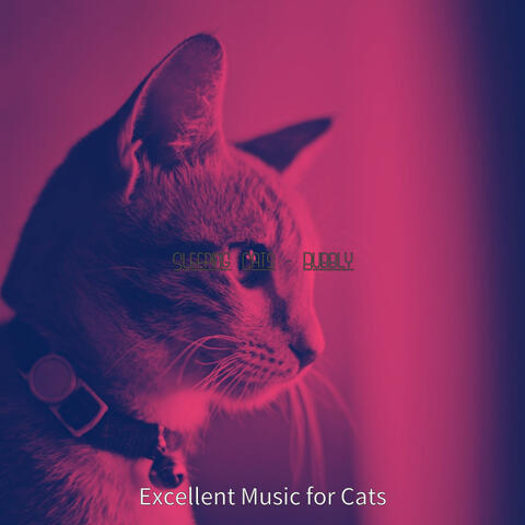 Sleeping Cats - Bubbly