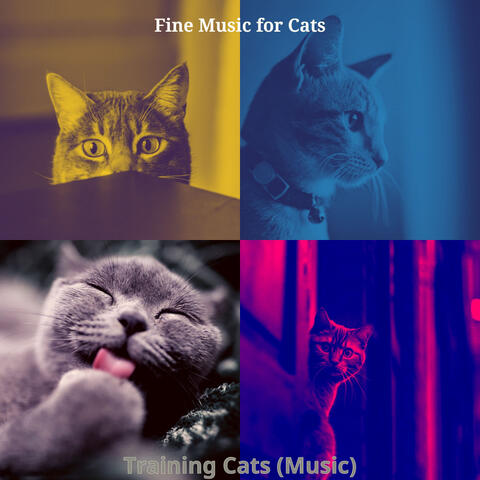 Training Cats (Music)