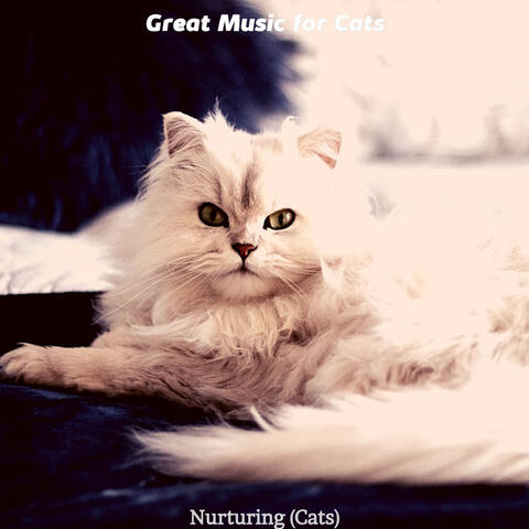 Nurturing (Cats)