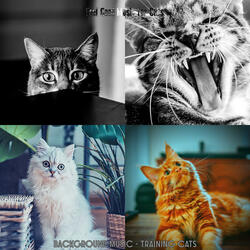 Simplistic (Relaxing Cats)