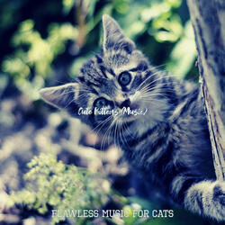 Simplistic (Kittens)