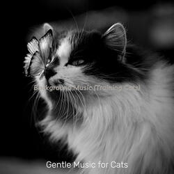 Magical (Relaxing Cats)