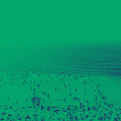 Subtle Backdrops for Fine Dining