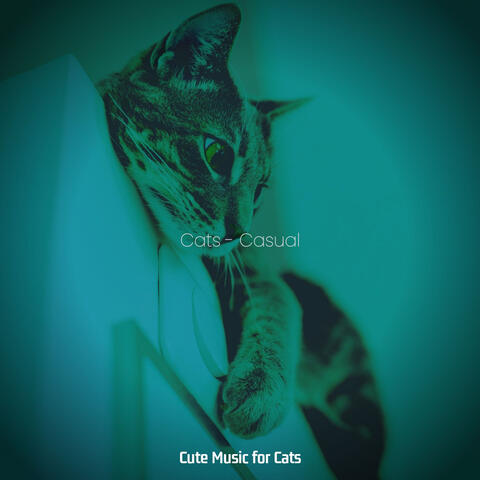 Cats - Casual