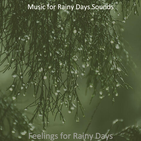 Feelings for Rainy Days