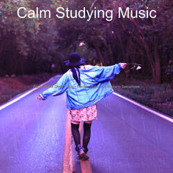 Lonely Rainy Day Studying