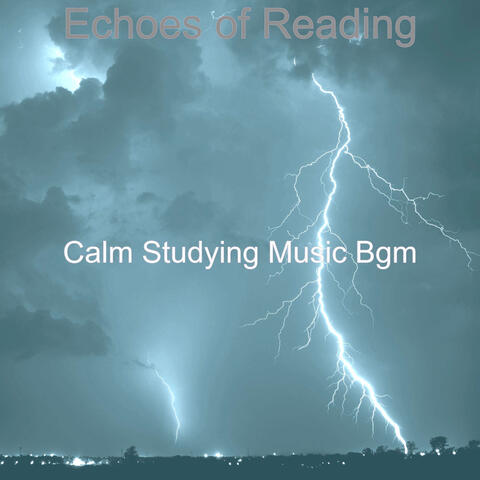 Echoes of Reading