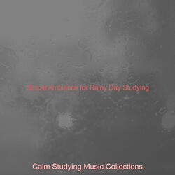 Sparkling Moods for Rainy Day Studying