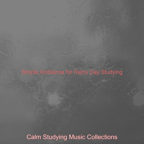 Simple Ambiance for Rainy Day Studying
