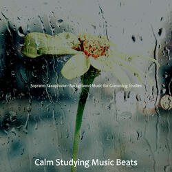 Energetic Ambience for Reading