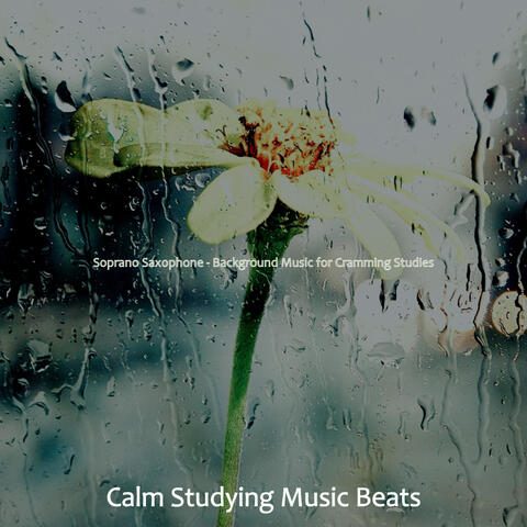 Soprano Saxophone - Background Music for Cramming Studies