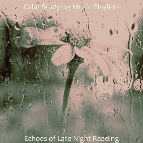 Echoes of Late Night Reading