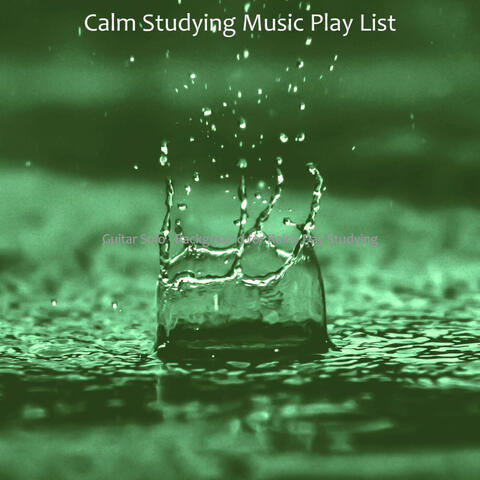 Guitar Solo - Background for Rainy Day Studying