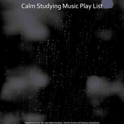 Exquisite Ambience for Late Night Reading
