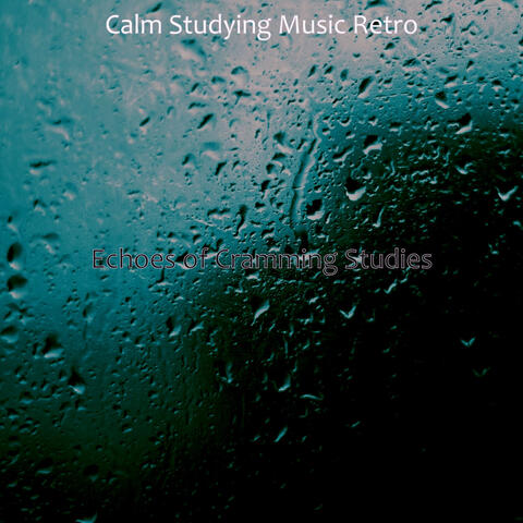 Echoes of Cramming Studies
