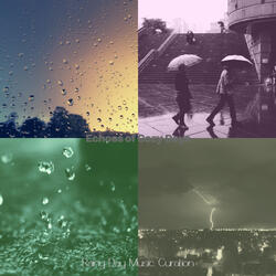 Sparkling Backdrops for Rainy Days