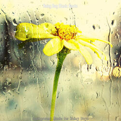 Divine Moods for Staying Inside