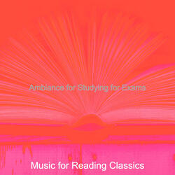 Tasteful Ambiance for Studying for Exams